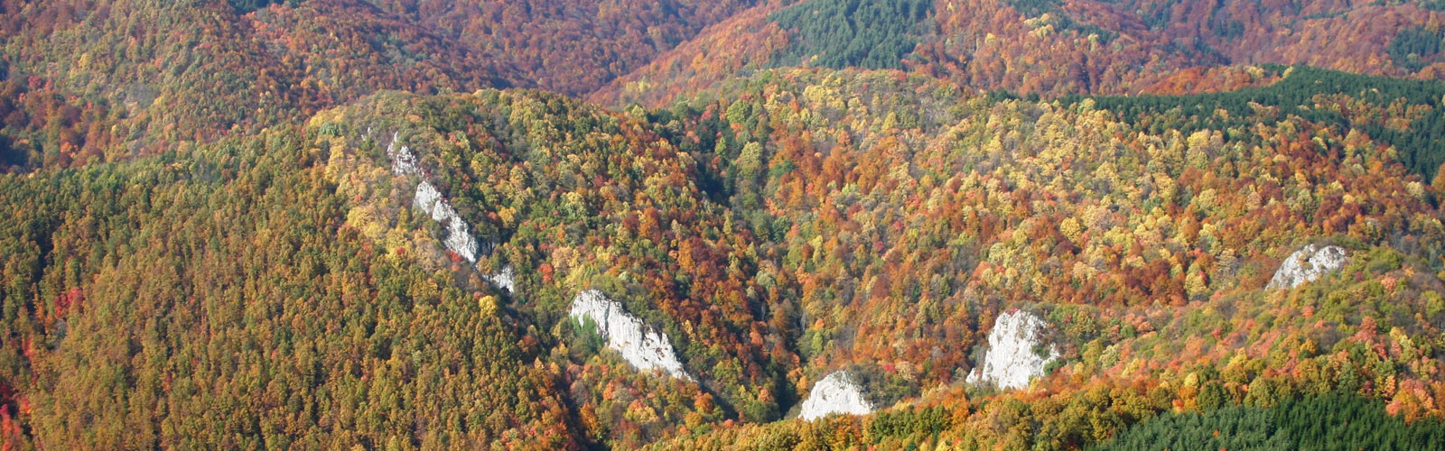 nacionalni-park-kozara-klima-1